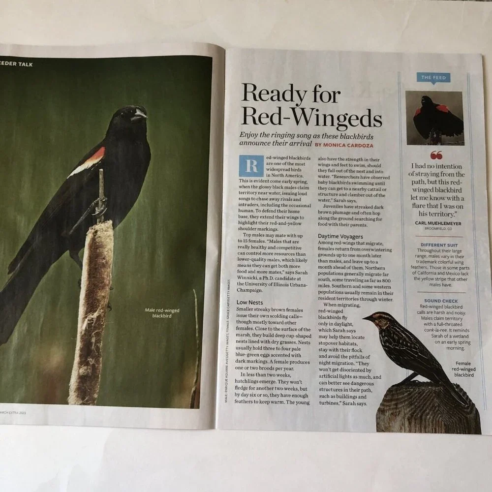 Birds and Blooms Mag March Extra 2023-Finches-Herbs-feeding hacks-ground cover